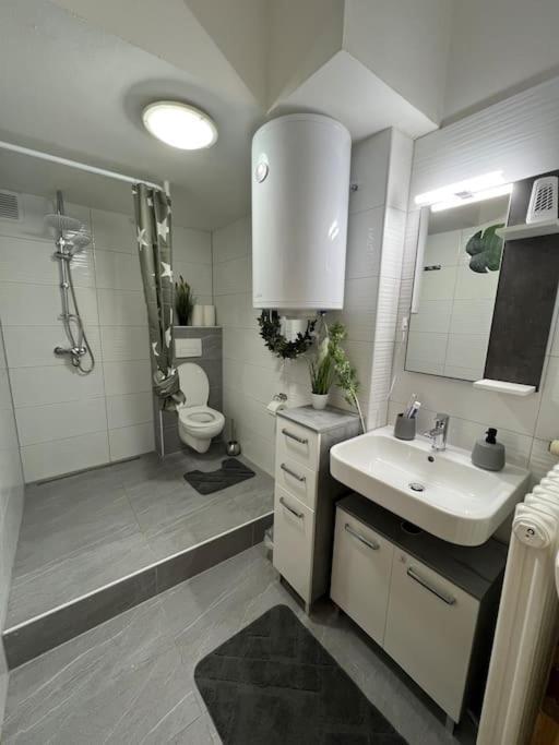 Apartment City Center เวิร์ซบวร์ก ภายนอก รูปภาพ